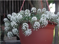 cd5b9613-martaaa 045.jpg